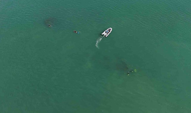 92 yıl önce Ordu'da batmıştı: Rus şilebi dron ile görüntülendi, dalgıçlar gemiyi ilk kez keşfetti