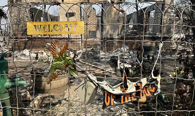 ABD'de orman yangını: 13 bin dönümlük arazi kül oldu