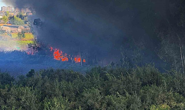 Adana'da geri dönüşüm fabrikasında yangın çıktı