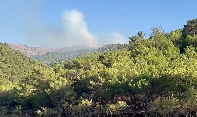 Adıyaman'da korkutan orman yangını
