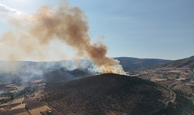 Ağaçlık alandan yükselen dumanlar kilometrelerce uzaktan görüldü