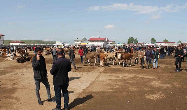 Ağrı'da Canlı Hayvan Borsası 10 Eylül'de açılacak