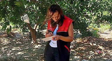 Akdeniz Meyve Sineği uyarısı