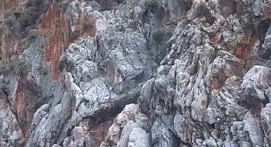 Alanya'da denize ölümüne atlayış