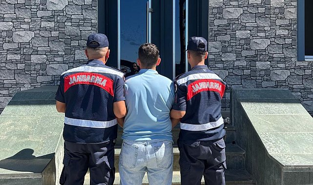 Alanya'da orman yangınlarıyla ilgili asılsız paylaşım yapan şahıs yakalandı