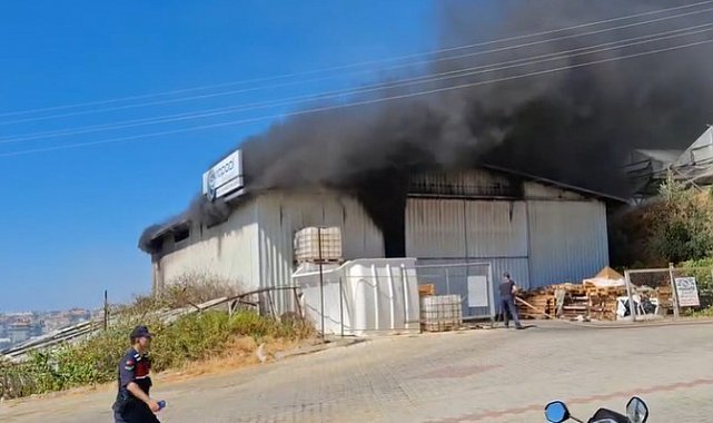 Alanya'da serada çıkan yangın depoya sıçradı