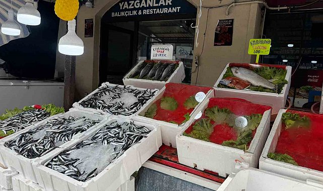 Alaplı'da balık tezgâhları boş kaldı