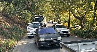 Alaplı'da yola devrilen ağaç, vatandaşlar tarafından kaldırıldı
