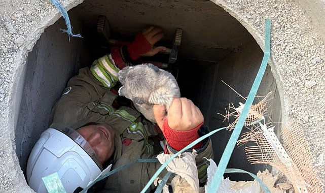 Antakya'da 5 metrelik kuyuya düşen yavru köpek kurtarıldı
