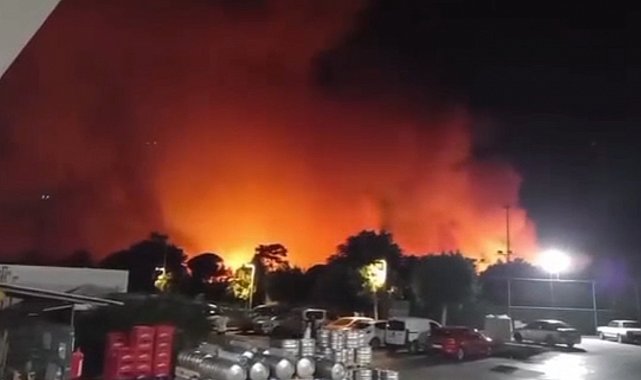 Antalya Aksu'da ormanlık alanda yangın