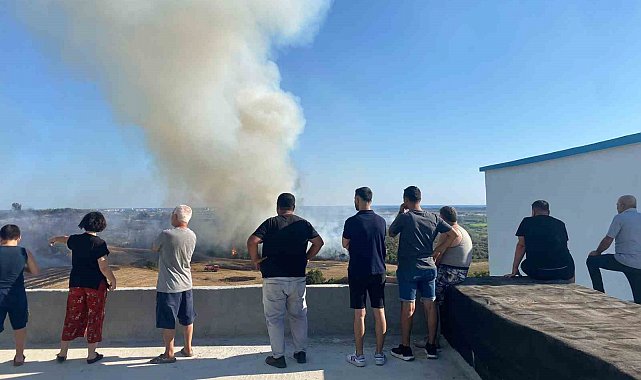 Antalya'da makilik alanda çıkan yangın zeytin ağaçlarına zarar verdi