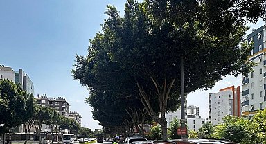 Antalya'da son 1 haftada 16 bin 155 araç ve sürücüsüne ceza kesildi