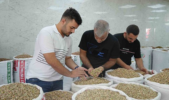 Antep fıstığına ithalat izni çıkıcınca fiyatlar ve satışlar düştü