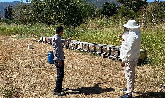 Arıcılık desteklemeleri için kovan sayımları tamamlandı