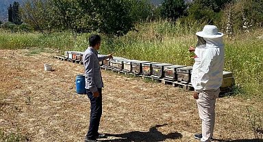 Arıcılık desteklemeleri için kovan sayımları tamamlandı