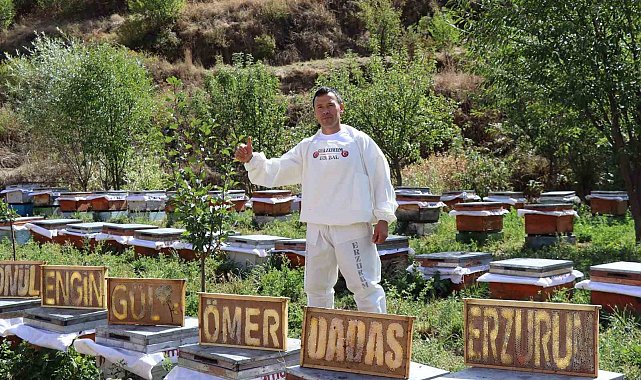 Arılarına yazmayı öğretti