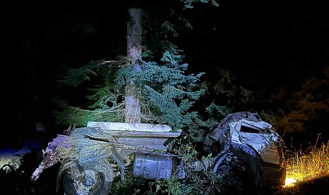 Artvin'de kamyon uçuruma yuvarlandı, karı koca hayatını kaybetti