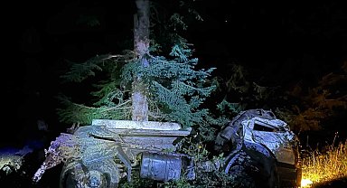 Artvin'de kamyon uçuruma yuvarlandı, karı koca hayatını kaybetti