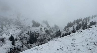 Artvin'de yaylalar kar altında
