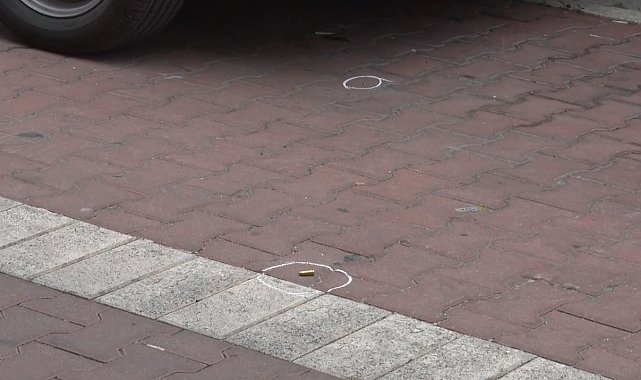 Avcılar'da iki yıl önce zıpkınla vurduğu abisini bu defa kurşunladı