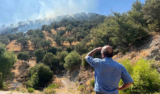 Aydın'da zirai alan yangını: 30 dönüm alan zarar gördü