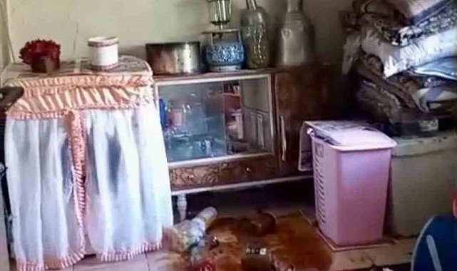 Ayılar yerleşim alanlarına indi, yöre halkı endişeli