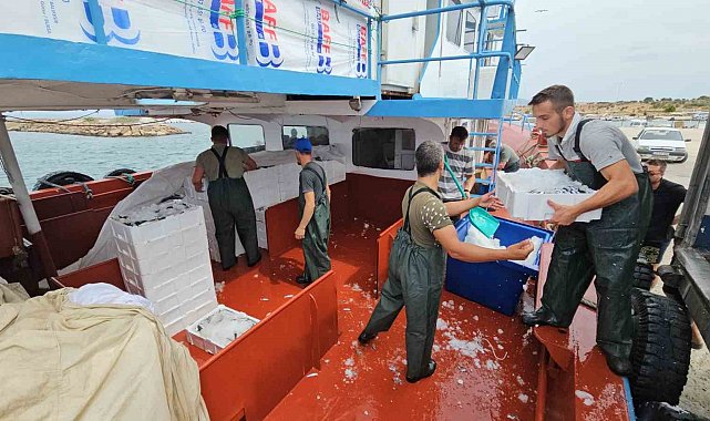 Balık fiyatları 1 ay sonra ucuzlayacak