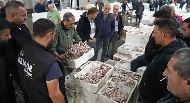 Balık mezadında hareketlilik: Kasalar dolusu balıklar kapışıldı