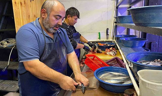 Balık sezonu bereketli başladı