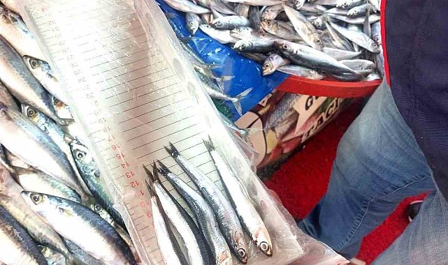 Balıkçı esnafına yönelik denetim