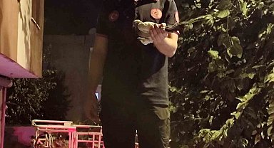 Batman'da ağaçta asılı kalan güvercin itfaiye ekiplerince kurtarıldı