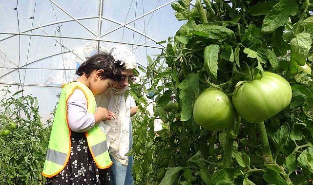 Bayburt'ta özel öğrenciler serada organik sebze hasadı yaptı