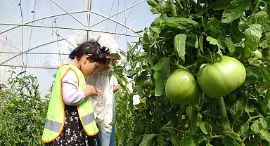 Bayburt'ta özel öğrenciler serada organik sebze hasadı yaptı