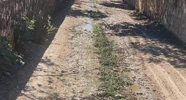 Bayırköy Belediyesi'nden kanal temizliği
