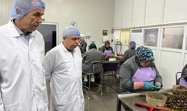 Bilecik'te kırsal kalkınma yatırımlarına destek sürüyor