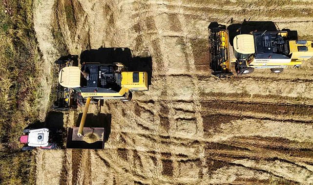 Bin dönümde yaklaşık 6 milyon lira maliyeti bulan tescilli Karacadağ pirincinde hasat zamanı