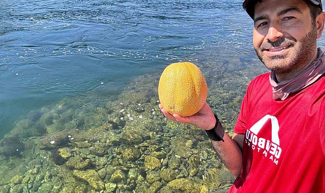 Bingöl'de doğa tutkunundan su altında meyve keyfi