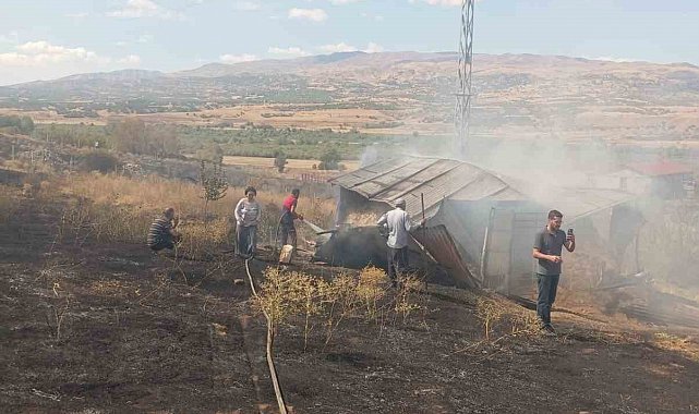 Bingöl'de örtü yangını