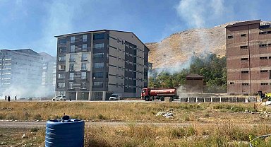 Bitlis'te çıkan yangın ağaçlara zarar verdi