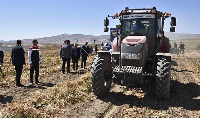 Bitlis'te kuru fasulye hasadında rekor: 37 bin ton üretim