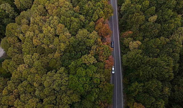 Bolu-Seben yolunda muhteşem sonbahar güzelliği