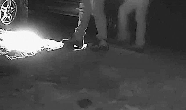 Boz ayı avlayan iki avcı fotokapana yakalandı