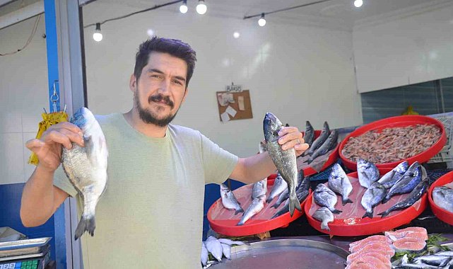 Bu yıl tezgâhların şampiyonu sardalya