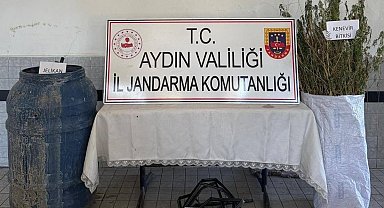 Buharkent'te 40 kök kenevir ele geçirildi