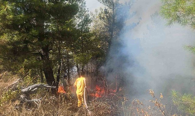 Buldan'daki orman yangınına havadan müdahale başladı