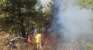 Buldan'daki orman yangınına havadan müdahale başladı
