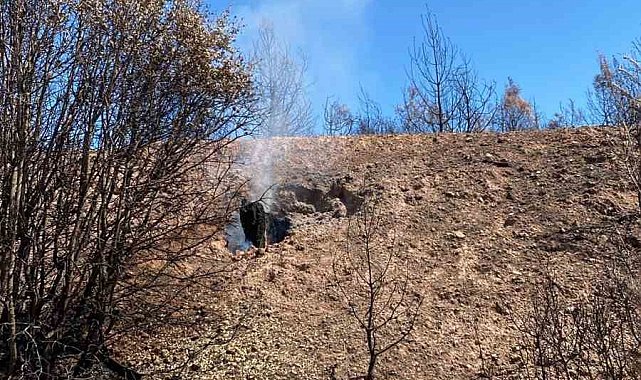 Buldan'daki yangın bölgesinde kökler yanmaya devam ediyor