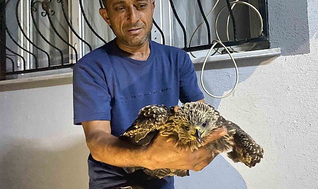 Bulduğu şahine ciğer dürüm söyledi