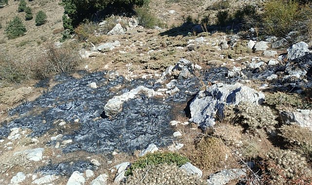 Burdur'da çalılık yangını söndürüldü
