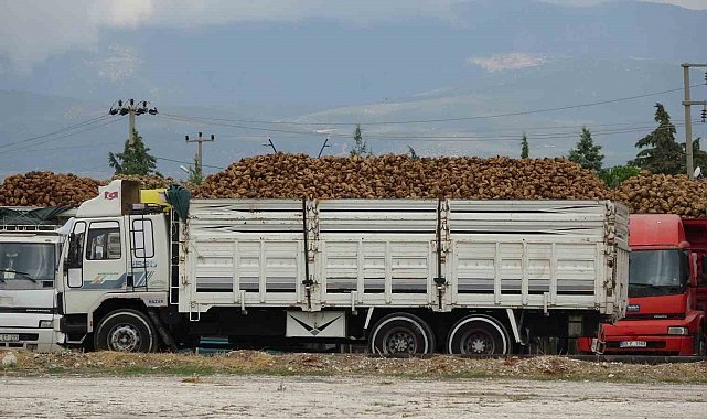 Burdur'da yaklaşık 700 bin ton şeker pancarı işlenecek